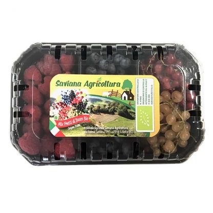 MIX FRUTTI DI BOSCO BIO 150 gr.